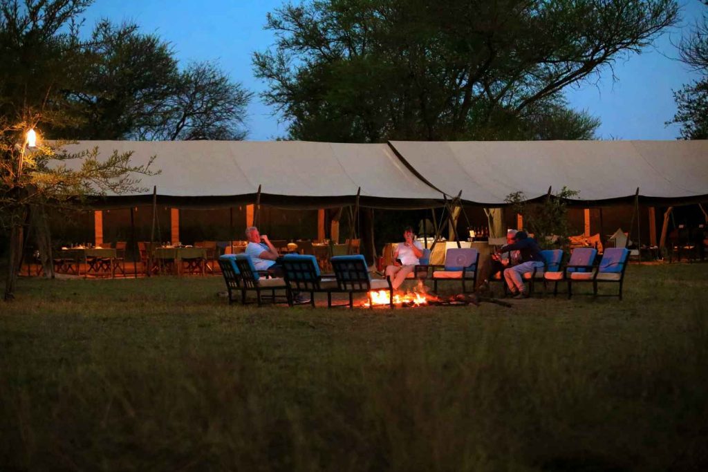 Zebbra Camp IntimateI